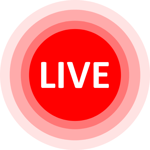 Analshow